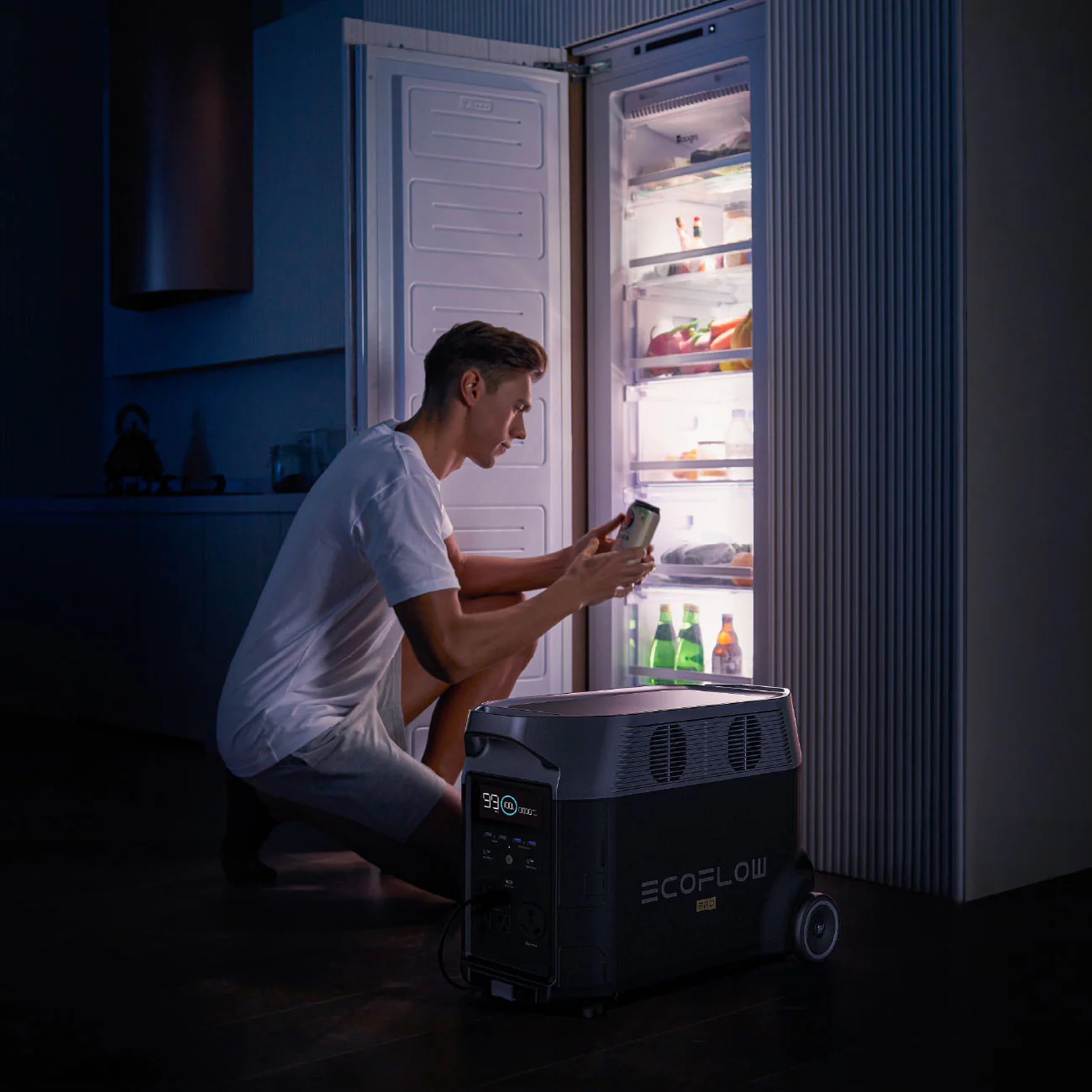 EcoFlow DELTA Pro Portable Power Station - Image 6