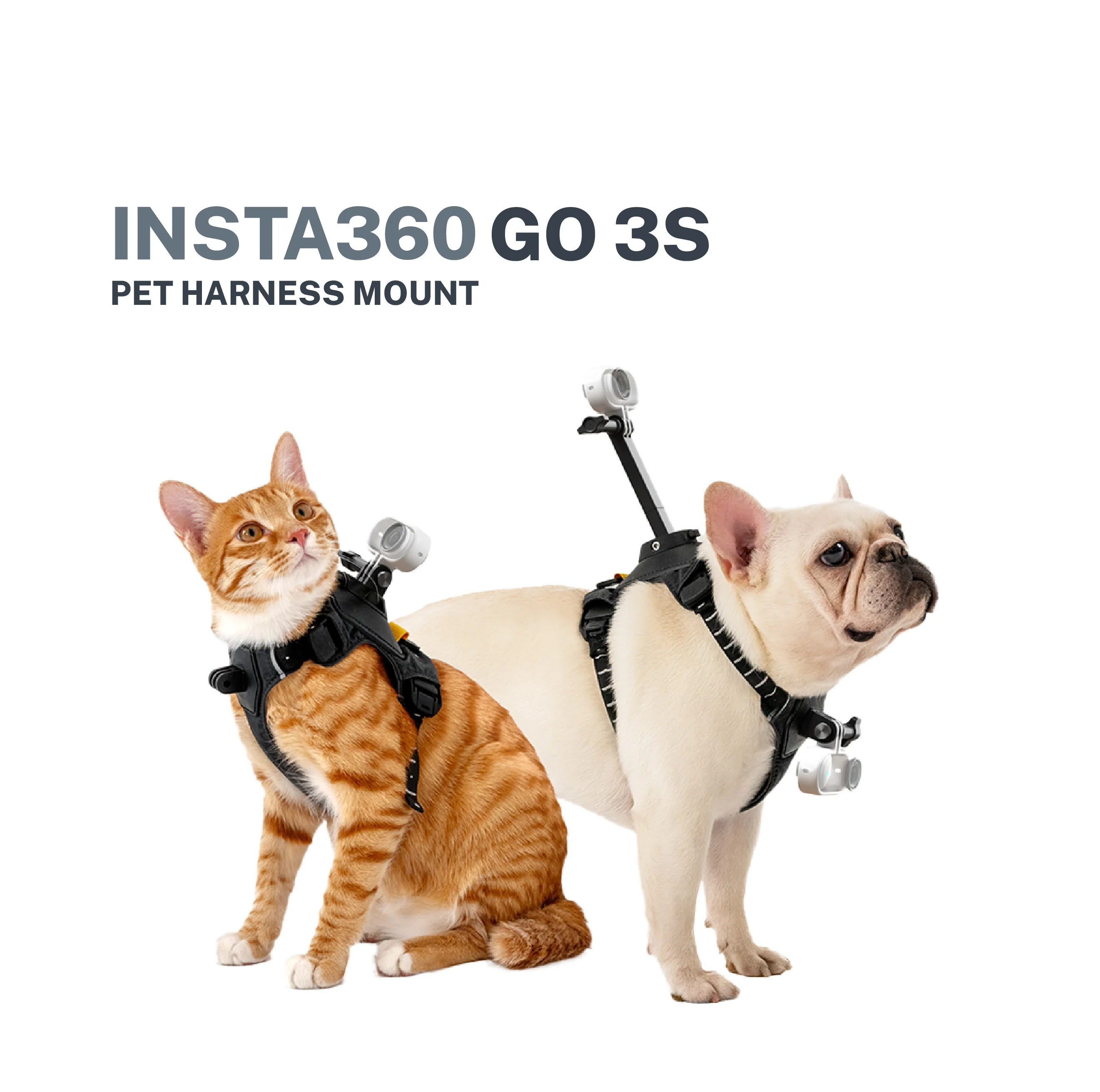 Insta360 GO 3/ GO 3S Pet Harness Mount - Image 5